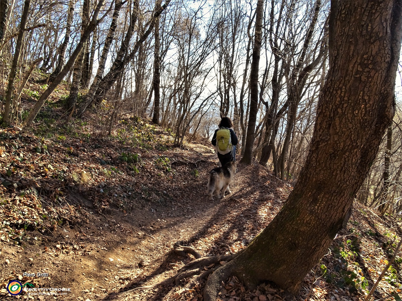 42 Dalla cima del Canto Alto scendiamo.JPG